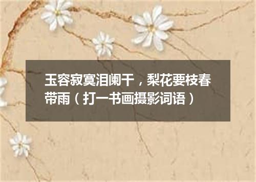 玉容寂寞泪阑干，梨花要枝春带雨（打一书画摄影词语）