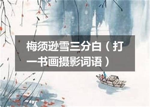梅须逊雪三分白（打一书画摄影词语）