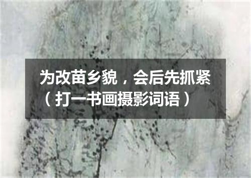 为改苗乡貌，会后先抓紧（打一书画摄影词语）