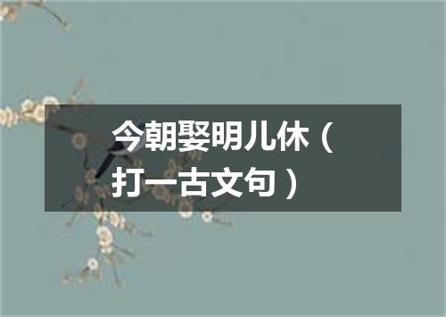 今朝娶明儿休（打一古文句）