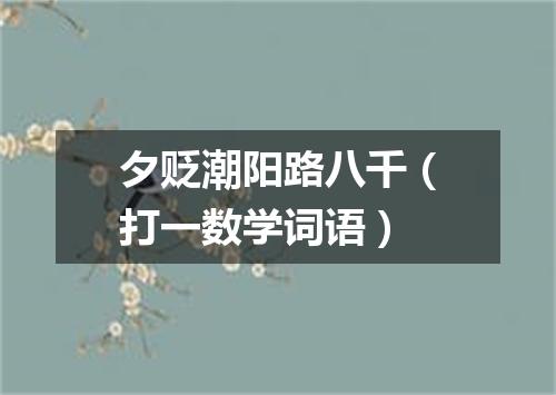 夕贬潮阳路八千（打一数学词语）