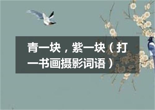 青一块，紫一块（打一书画摄影词语）