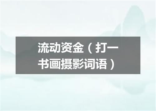 流动资金（打一书画摄影词语）