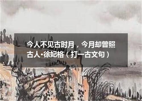 今人不见古时月，今月却曾照古人·徐妃格（打一古文句）
