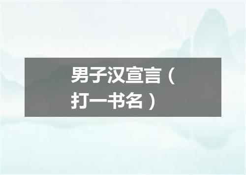 男子汉宣言（打一书名）