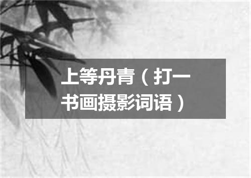 上等丹青（打一书画摄影词语）