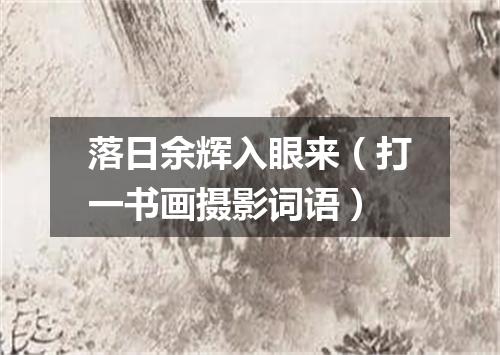 落日余辉入眼来（打一书画摄影词语）