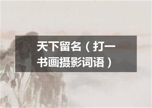 天下留名（打一书画摄影词语）