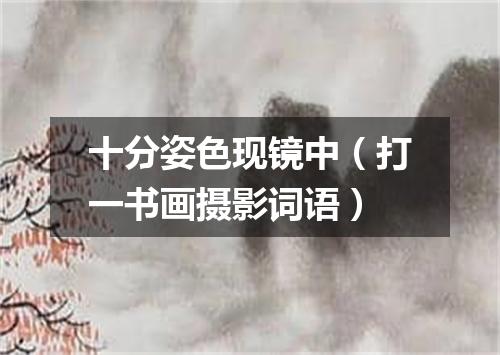 十分姿色现镜中（打一书画摄影词语）