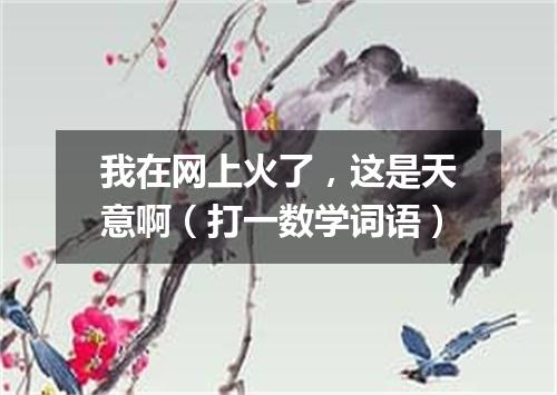 我在网上火了，这是天意啊（打一数学词语）