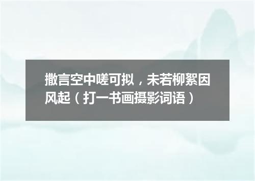 撒言空中嗟可拟，未若柳絮因风起（打一书画摄影词语）