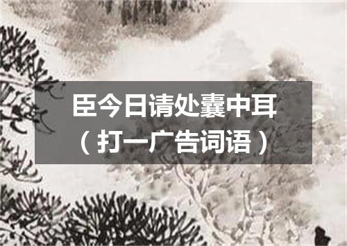 臣今日请处囊中耳（打一广告词语）