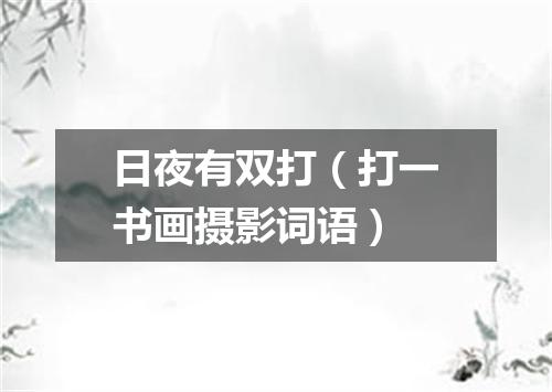 日夜有双打（打一书画摄影词语）