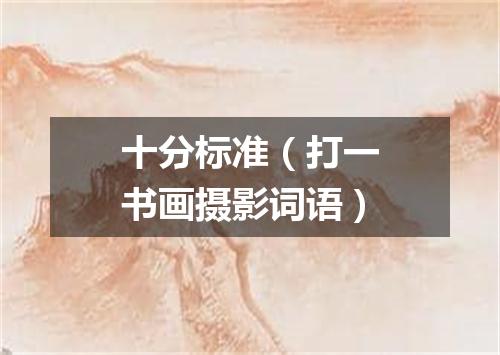 十分标准（打一书画摄影词语）