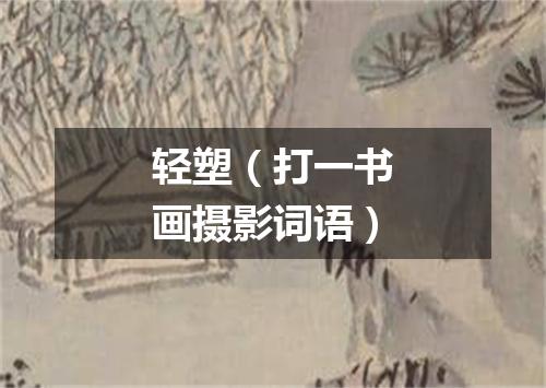 轻塑（打一书画摄影词语）