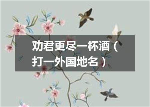 劝君更尽一杯酒（打一外国地名）