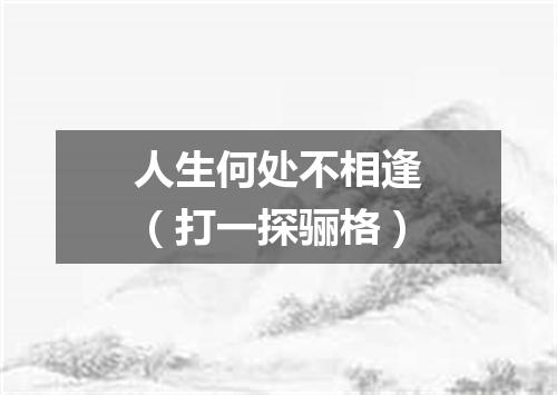 人生何处不相逢（打一探骊格）