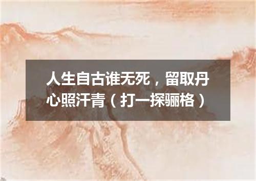 人生自古谁无死，留取丹心照汗青（打一探骊格）