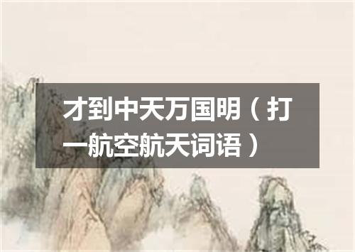 才到中天万国明（打一航空航天词语）