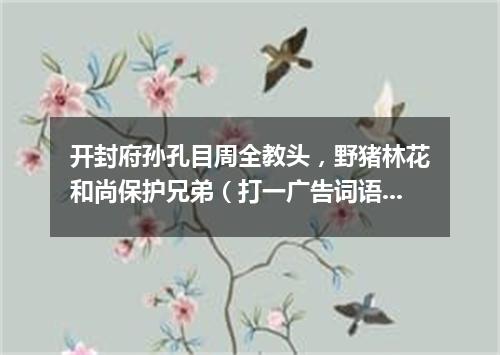 开封府孙孔目周全教头，野猪林花和尚保护兄弟（打一广告词语）