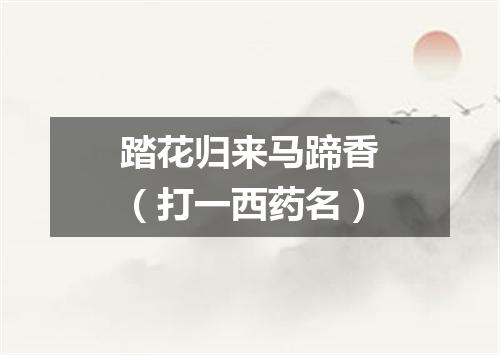 踏花归来马蹄香（打一西药名）