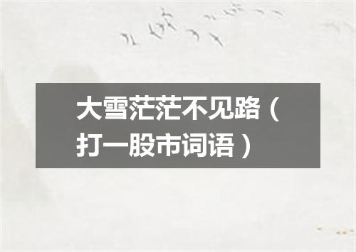 大雪茫茫不见路（打一股市词语）