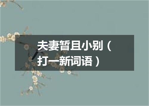 夫妻暂且小别（打一新词语）