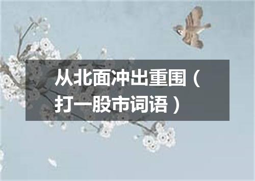 从北面冲出重围（打一股市词语）