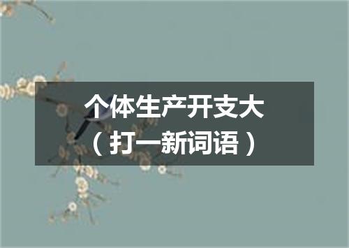 个体生产开支大（打一新词语）