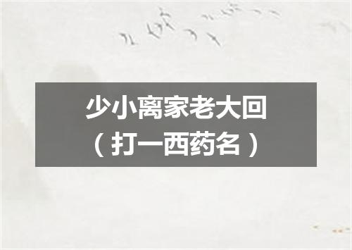 少小离家老大回（打一西药名）