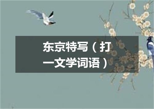 东京特写（打一文学词语）