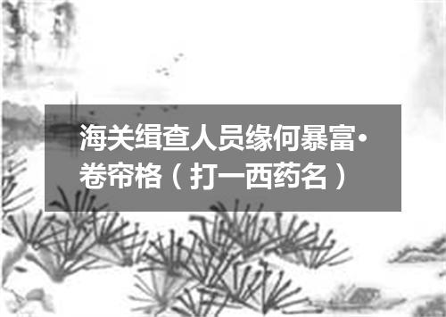 海关缉查人员缘何暴富·卷帘格（打一西药名）