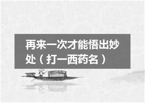 再来一次才能悟出妙处（打一西药名）