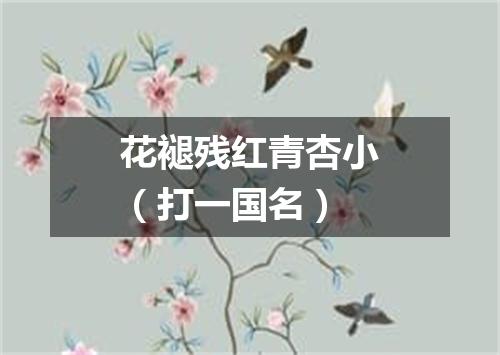花褪残红青杏小（打一国名）