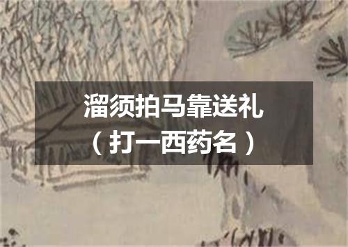 溜须拍马靠送礼（打一西药名）