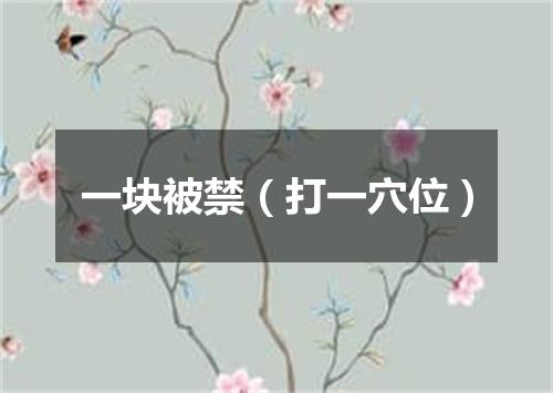 一块被禁（打一穴位）