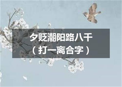 夕贬潮阳路八千（打一离合字）
