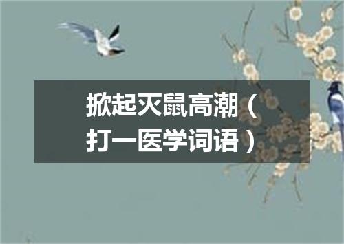 掀起灭鼠高潮（打一医学词语）