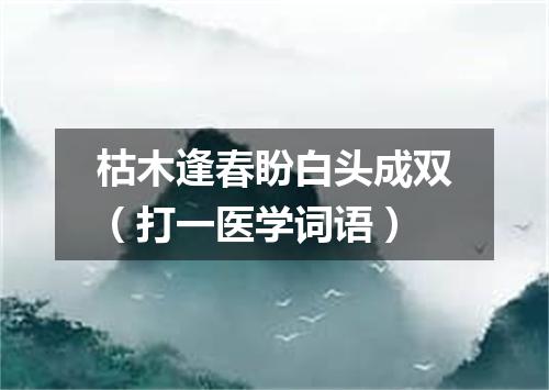 枯木逢春盼白头成双（打一医学词语）