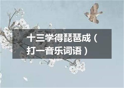 十三学得琵琶成（打一音乐词语）