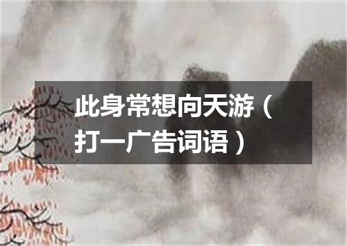 此身常想向天游（打一广告词语）