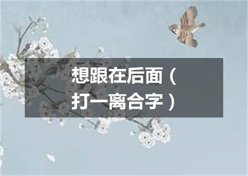 想跟在后面（打一离合字）