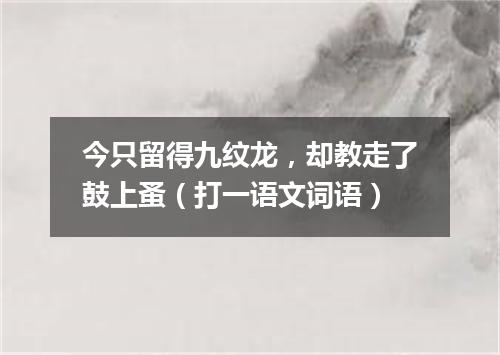 今只留得九纹龙，却教走了鼓上蚤（打一语文词语）