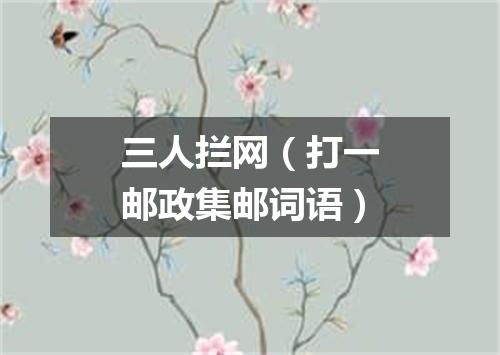 三人拦网（打一邮政集邮词语）