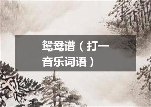 鸳鸯谱（打一音乐词语）
