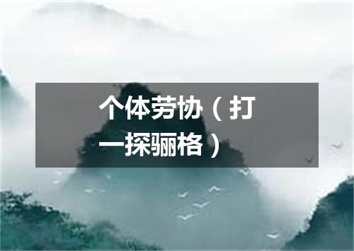 个体劳协（打一探骊格）