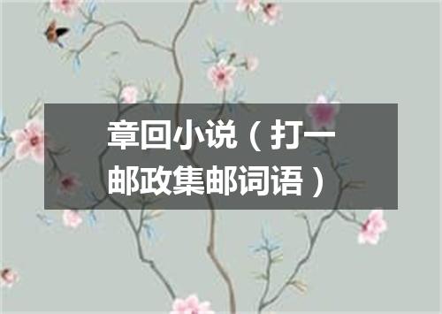 章回小说（打一邮政集邮词语）