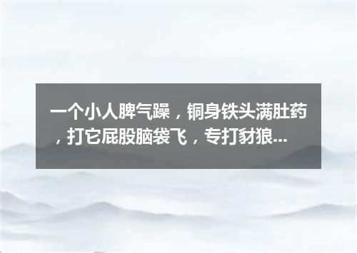 一个小人脾气躁，铜身铁头满肚药，打它屁股脑袋飞，专打豺狼狗强盗。（打一军事物品）
