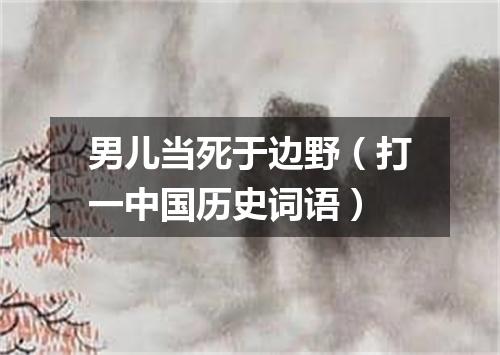 男儿当死于边野（打一中国历史词语）