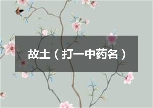 故土（打一中药名）